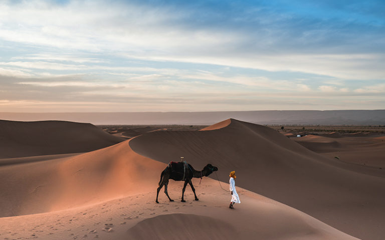 Arabian Desert- The one where I fell off a camel